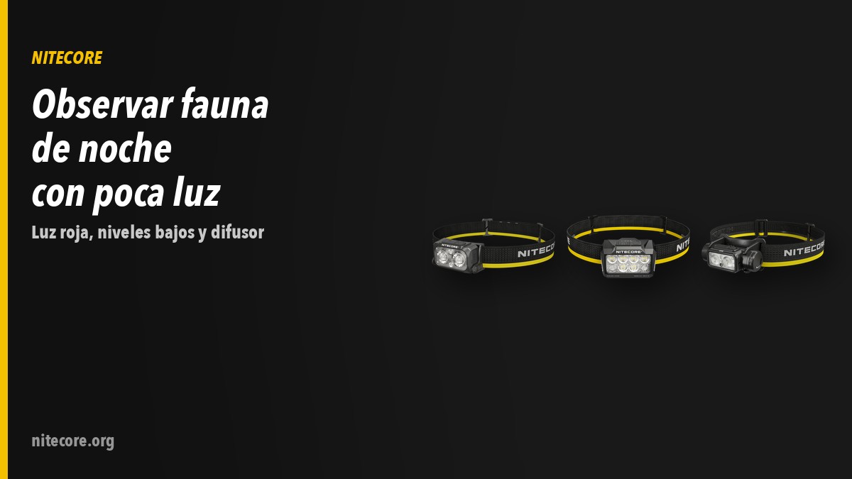 Linternas Nitecore NU25 MCT, HA25 UHE, NU53 sobre fondo oscuro